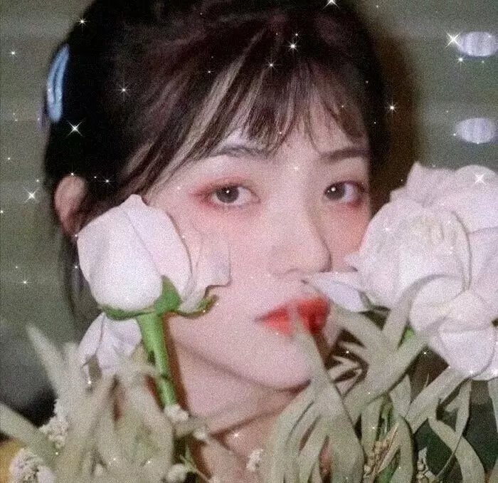 窗边的小荳荳