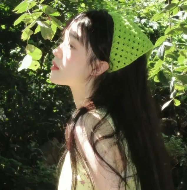 关于帕姆的那些事